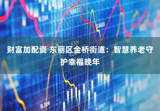 财富加配资 东丽区金桥街道：智慧养老守护幸福晚年