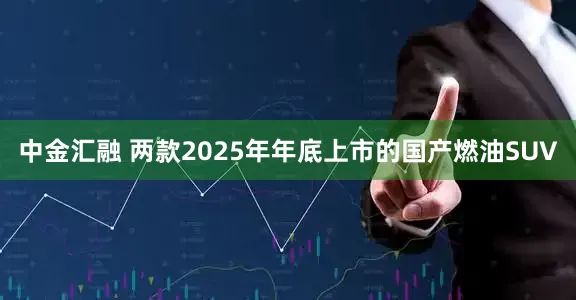 中金汇融 两款2025年年底上市的国产燃油SUV