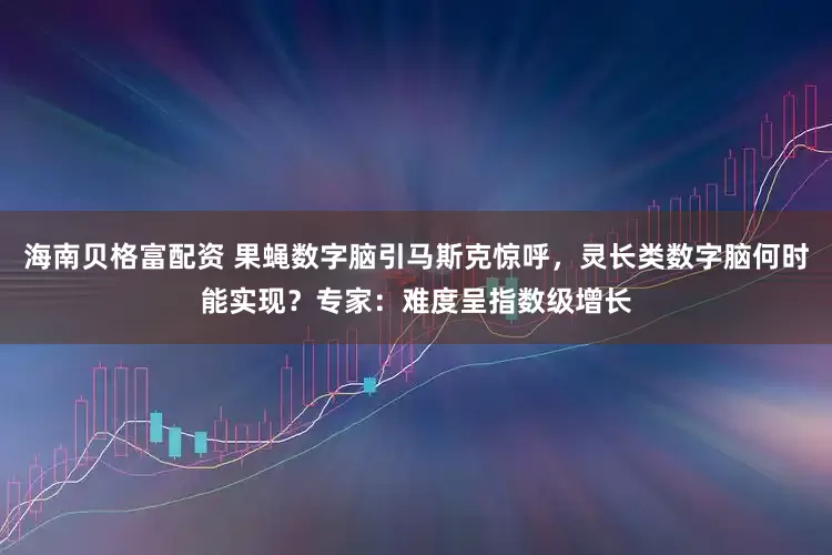 海南贝格富配资 果蝇数字脑引马斯克惊呼，灵长类数字脑何时能实现？专家：难度呈指数级增长